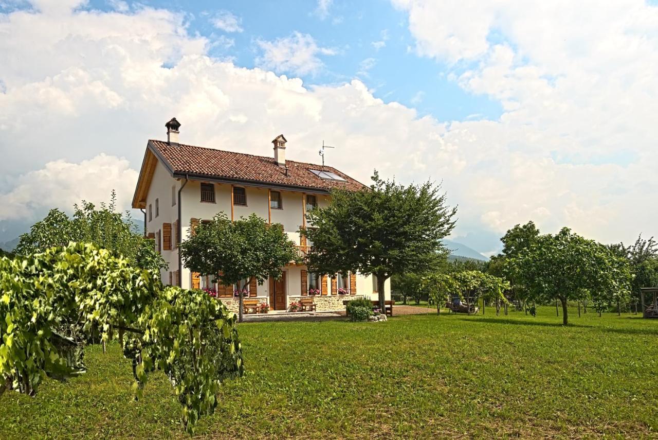 Lioelara Hotel Feltre Buitenkant foto