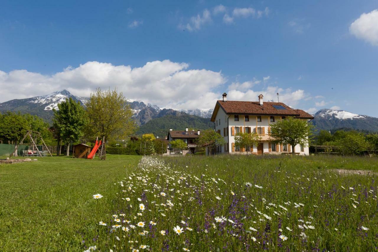 Lioelara Hotel Feltre Buitenkant foto